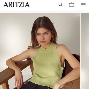 Aritzia Wilfred New Halter Top